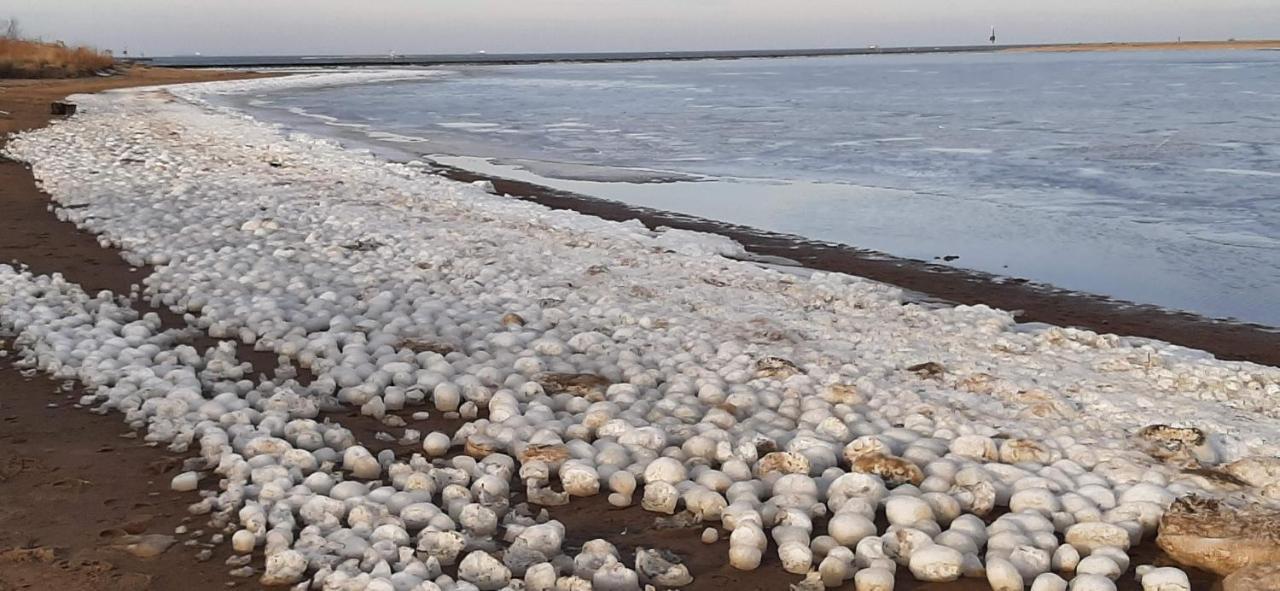 Orzechowy Dworek Nowy Dwór Gdański Exterior foto