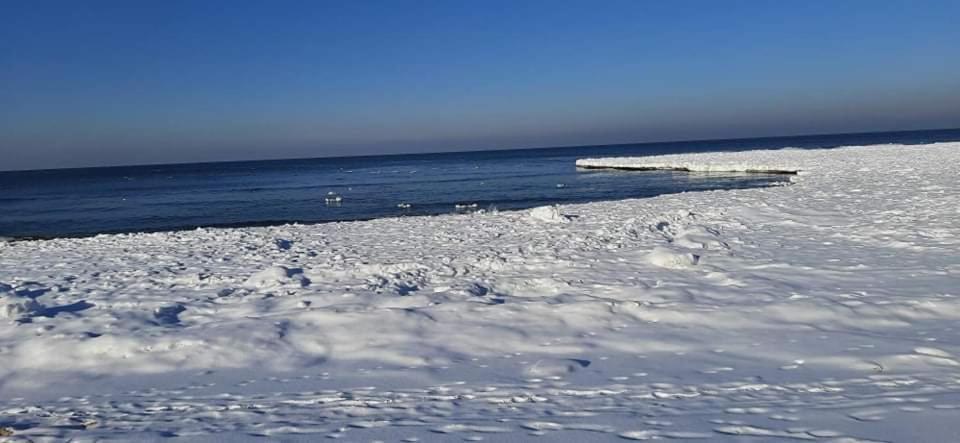 Orzechowy Dworek Nowy Dwór Gdański Exterior foto